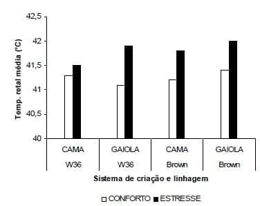 Impactos do bem-estar na produção de ovos - Image 3