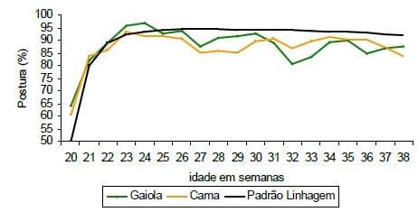 Impactos do bem-estar na produção de ovos - Image 9
