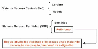 Bem-Estar das Aves e Suas Implicações sobre o Desenvolvimento e Produção - Image 2