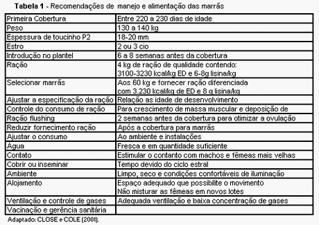 Nutrição de marrãs: programa nutricional diferenciado - Image 1