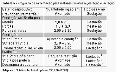 Nutrição de marrãs: programa nutricional diferenciado - Image 5