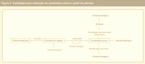Perspectivas para a utilização de produtos de origem vegetal como aditivos alternativos na alimentação de aves - Image 1