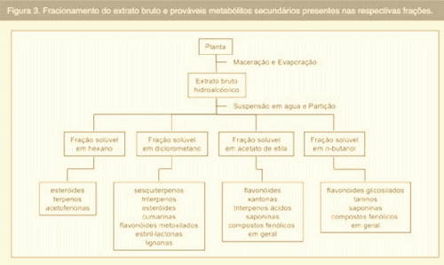 Perspectivas para a utilização de produtos de origem vegetal como aditivos alternativos na alimentação de aves - Image 2