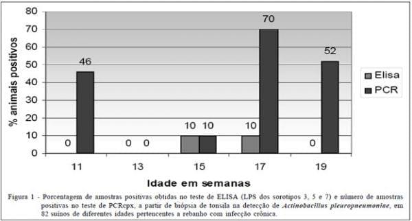 Reação em Cadeia da Polimerase (PCR) baseada no gene cpx para detecção de Actinobacillus pleuropneumoniae em suínos natural e experimentalmente infectados - Image 1