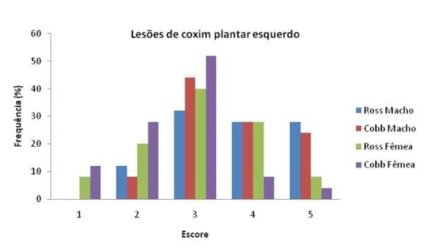 Efeito da linhagem e sexo no desempenho e na frequência de pododermatite em frangos de corte - Image 2