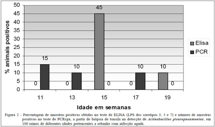 Reação em Cadeia da Polimerase (PCR) baseada no gene cpx para detecção de Actinobacillus pleuropneumoniae em suínos natural e experimentalmente infectados - Image 2