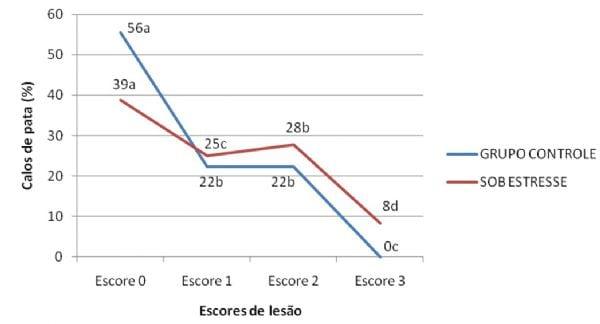 Incidência de pododermatite de contato em frangos de corte submetidos a estresse térmico - Image 1