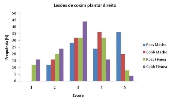Efeito da linhagem e sexo no desempenho e na frequência de pododermatite em frangos de corte - Image 3