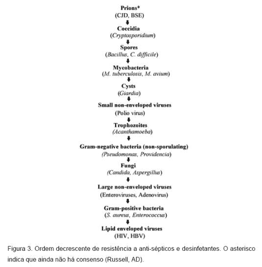 Limpeza e desinfecção na avicultura - Image 3