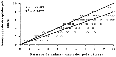 Avaliação de diferentes locais de implante de microchip para identificação eletrônica de leitões e sua validação por meio da análise de imagem - Image 2