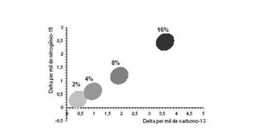 Farinha de Vísceras na Alimentação de Aves - Image 5