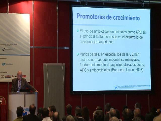Estratégias para avaliar alternativas para os promotores de crescimento.