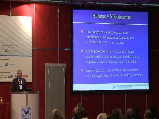 Resíduos de micotoxinas em ovos e tecidos comestíveis de frangos e galinhas: Há risco para os humanos.?