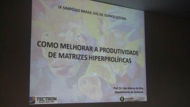 Como melhorar a produtividade de matrizes hiperprolíficas.