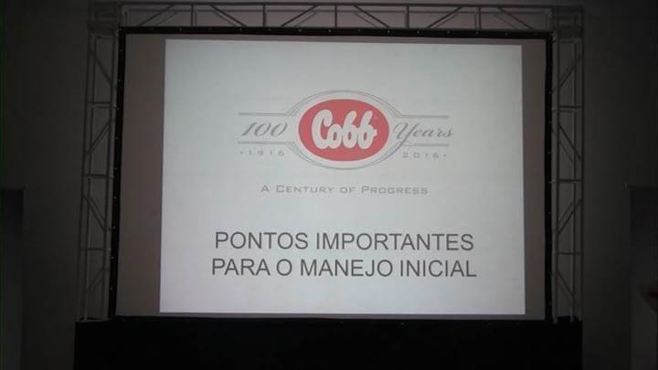Ferramentas de manejo para maximizar resultados de frango de corte.