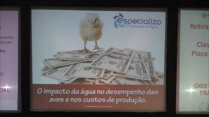 O impacto da água no desempenho das aves e nos custos da produção.