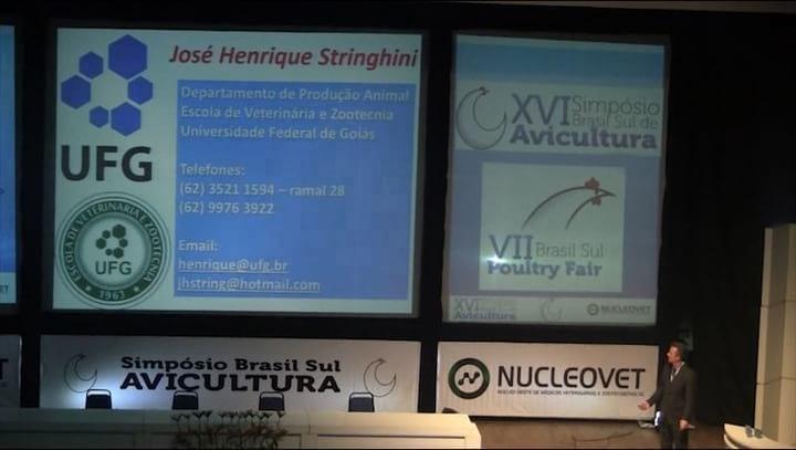 Novas tendências em aditivos alimentares para a produção de frangos.