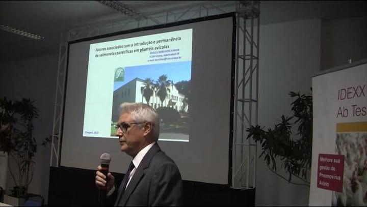 Salmonella em foco