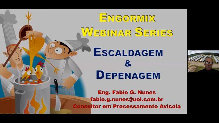 Escaldagem e Depenagem | Processo de abate de frangos