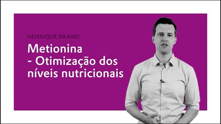 Metionina - Otimização dos níveis nutricionais