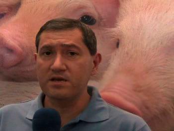Imunonutrição: aditivo melhora resultados zootécnicos no campo