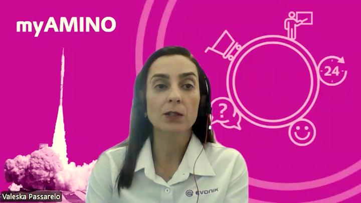 Relatório de Matérias-Primas 2024 – Evonik