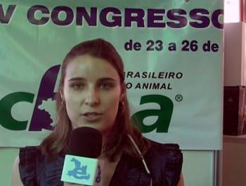 Períodos de fornecimento de ractopamina