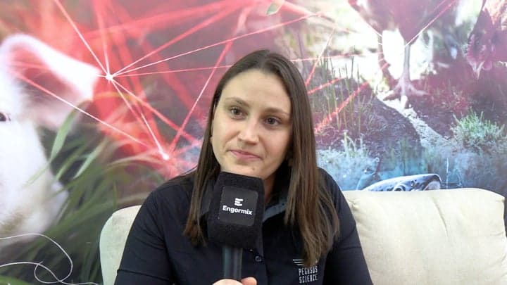  Predição de micotoxinas em sorgo por meio da tecnologia NIRS