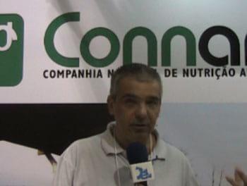 Cana picada ou silagem de cana na alimentação do gado de corte - (Núcleo Connan Cana)