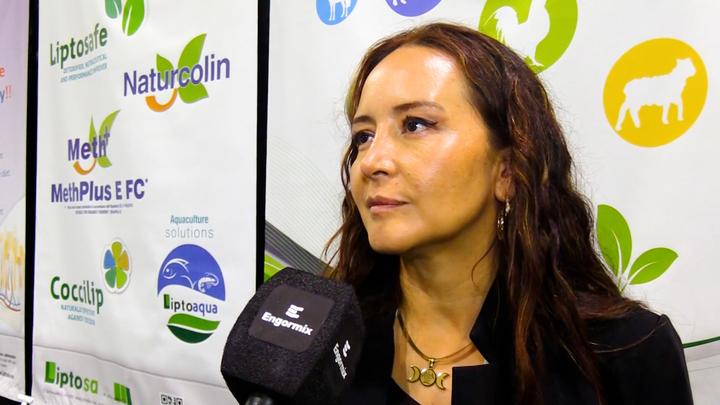 Fonte natural de colina para maior eficiência e rentabilidade