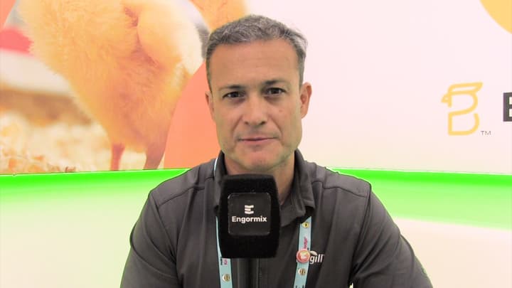 Controle ambiental em instalações avícolas na Índia