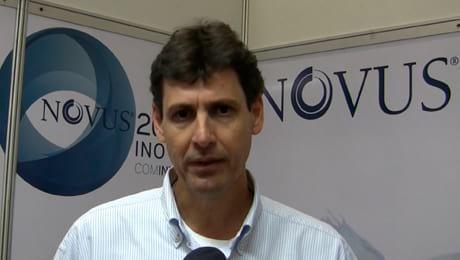 Minerais orgânicos e o fortalecimento da estrutura óssea 