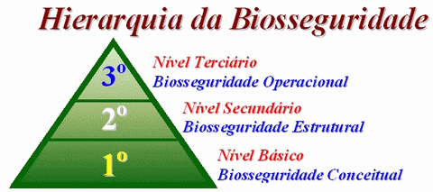 Biosseguridade na moderna avicultura: O que fazer e o que não fazer - Image 1