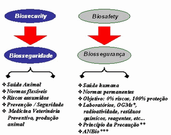 Biosseguridade na moderna avicultura: O que fazer e o que não fazer - Image 2