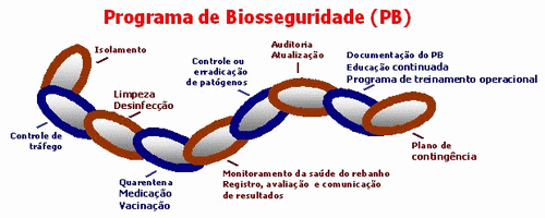 Biosseguridade na moderna avicultura: O que fazer e o que não fazer - Image 4