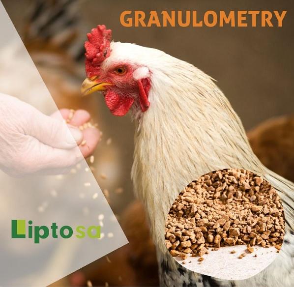 Granilometria importa! - Image 1