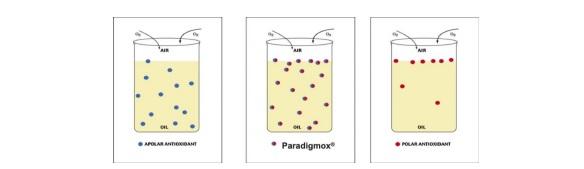 Propriedades, estudos e dose recomendada de PARAdigmOX® White Dry: Diferenciação química e de eficiência em relação ao BHT. - Image 4