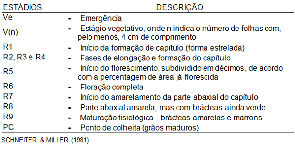 Valor nutricional do girassol (Helianthus annuus L.) como forrageira - Image 1