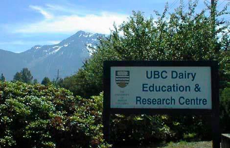 Centro de ensino e pesquisa leiteira DA UBC, Canadá: Modelo para realizar pesquisas na produção sustentável de gado de leite. - Image 1
