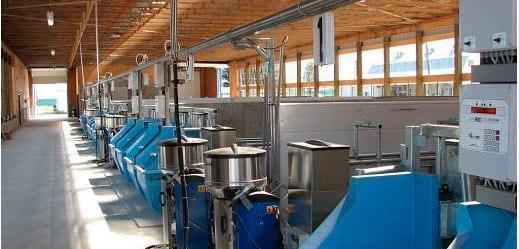 Centro de ensino e pesquisa leiteira DA UBC, Canadá: Modelo para realizar pesquisas na produção sustentável de gado de leite. - Image 3
