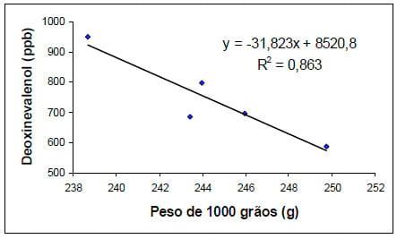 Efeito do beneficiamento no teor de micotoxinas em grãos de milho - Image 4