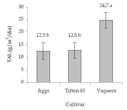 Análise de crescimento de Capins do Gênero Cynodon submetidos a frequências de colheita - Image 6