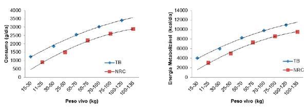 Comparação das exigências nutricionais para suínos machos castrados recomendadas pelas Tabelas Brasileiras (2011) e pelo NRC (2012) - Image 2
