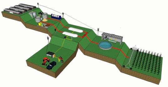 Análise econômica da instalação de planta biointegrada de biogás para geração de energia limpa e adubo orgânico em granjas avícolas - Image 3