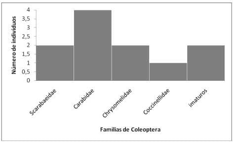 Diversidade de Coleoptera em diferentes ambientes de uma área rural em Concórdia - Image 1