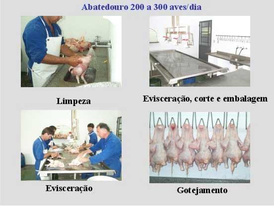 Recomendações técnicas para a produção, abate, processamento e comercialização de frangos de corte coloniais - Image 12