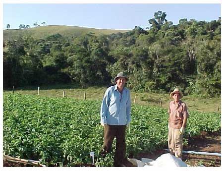 Agricultura familiar no Leste Paulista e os programas de apoio aos agricultores - Parte 2 - Image 1