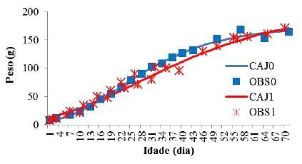 Comparação do crescimento de duas gerações de codornas Japonesas por meio do modelo de Gompertz - Image 1