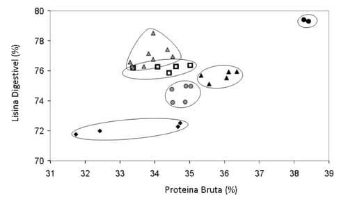 Resultados de uma pesquisa sobre o valor nutricional dos farelos de soja, canola e de cereais para a nutrição animal - Image 5