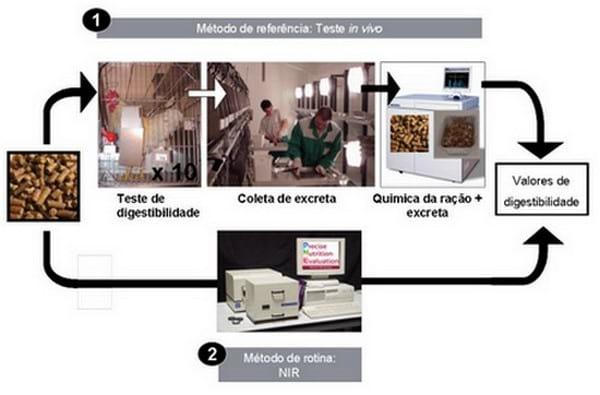 Resultados de uma pesquisa sobre o valor nutricional dos farelos de soja, canola e de cereais para a nutrição animal - Image 7
